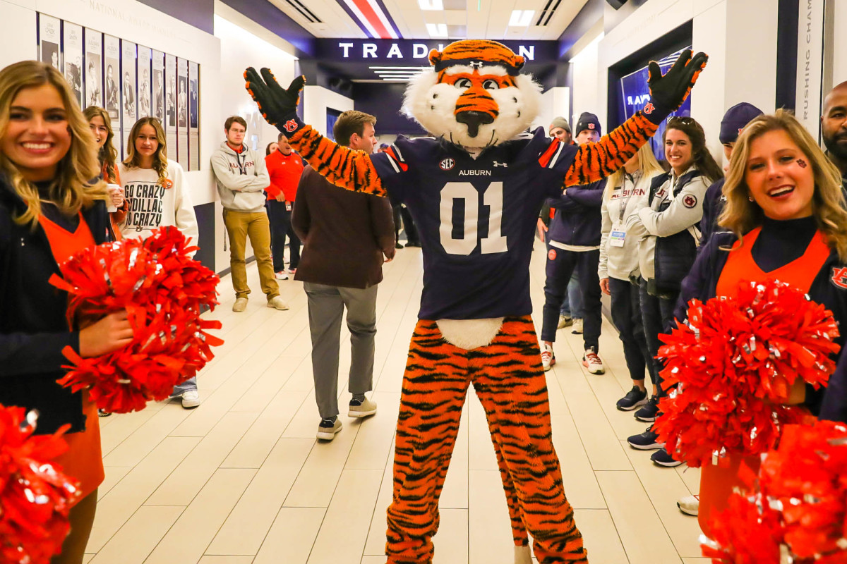 Aubie